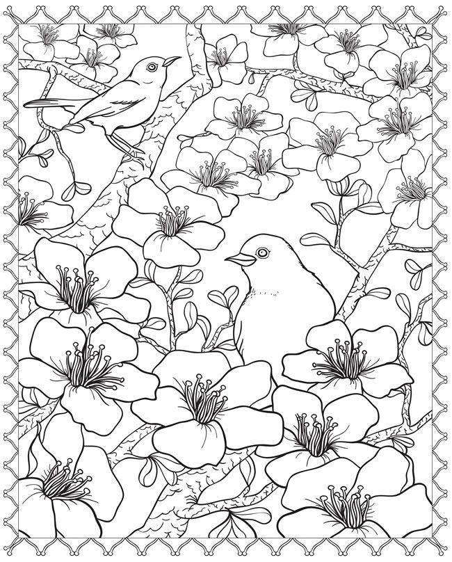 650x808 Welcome To Dover Publications Coloring Pages 2