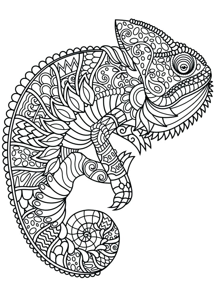 724x1024 Coloring Pages For Adults Pdf Plus Cat Animal Coloring Pages