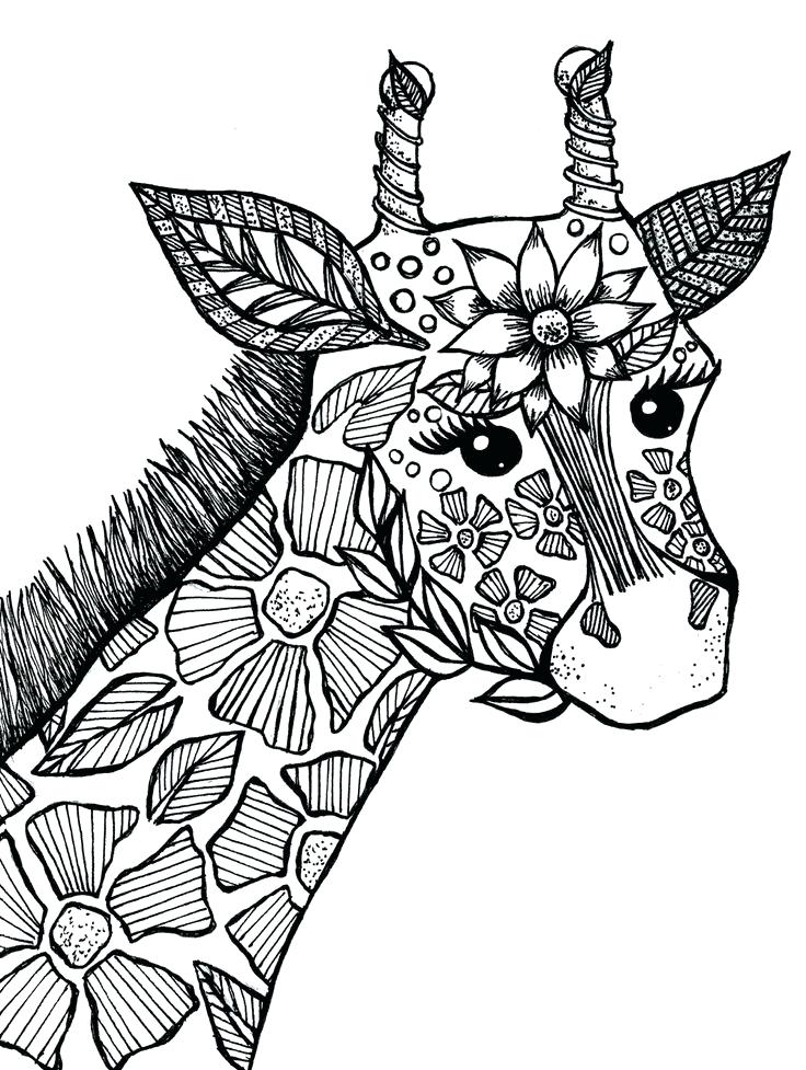 736x977 Adult Coloring Pages Adult Coloring Pages Animals Adult Coloring