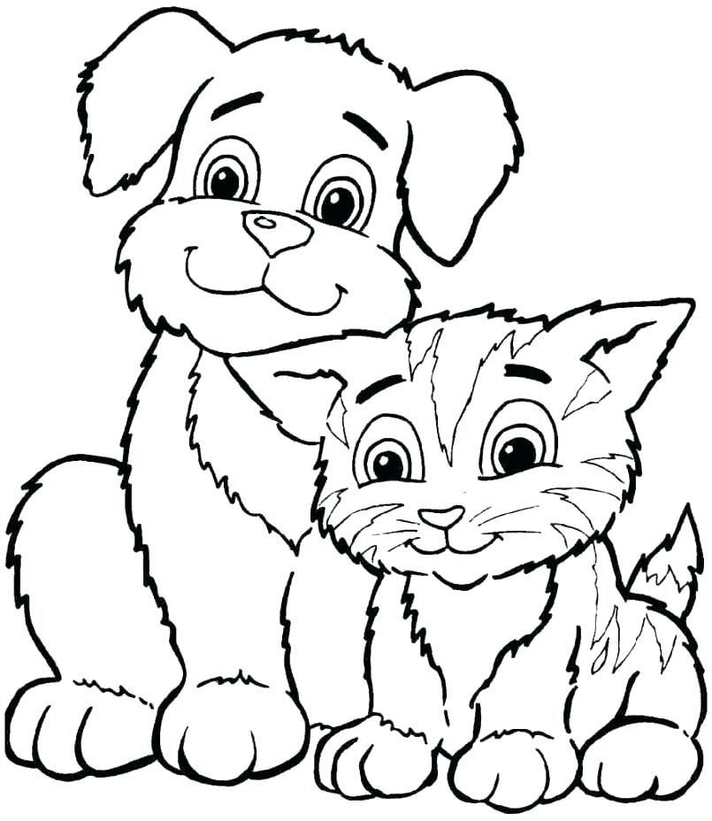 805x928 Coloring Pages Cute Animals Coloring Pages Of Animals And Their