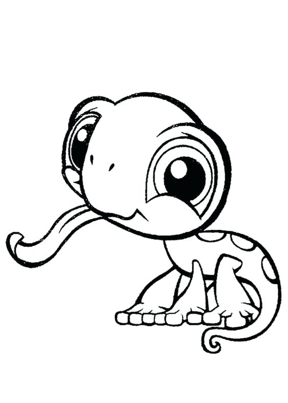 564x789 Cute Baby Sea Animal Coloring Pages Animals For Kids Fresh Design