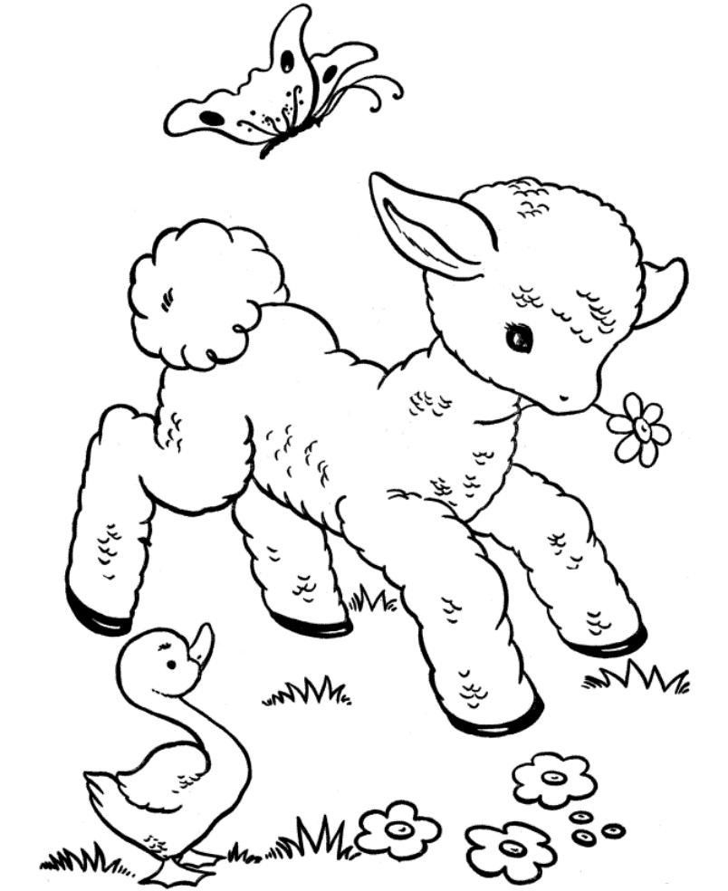 804x984 Printable Coloring Leap Frog Coloring Pages Leapfrog Baby Animal