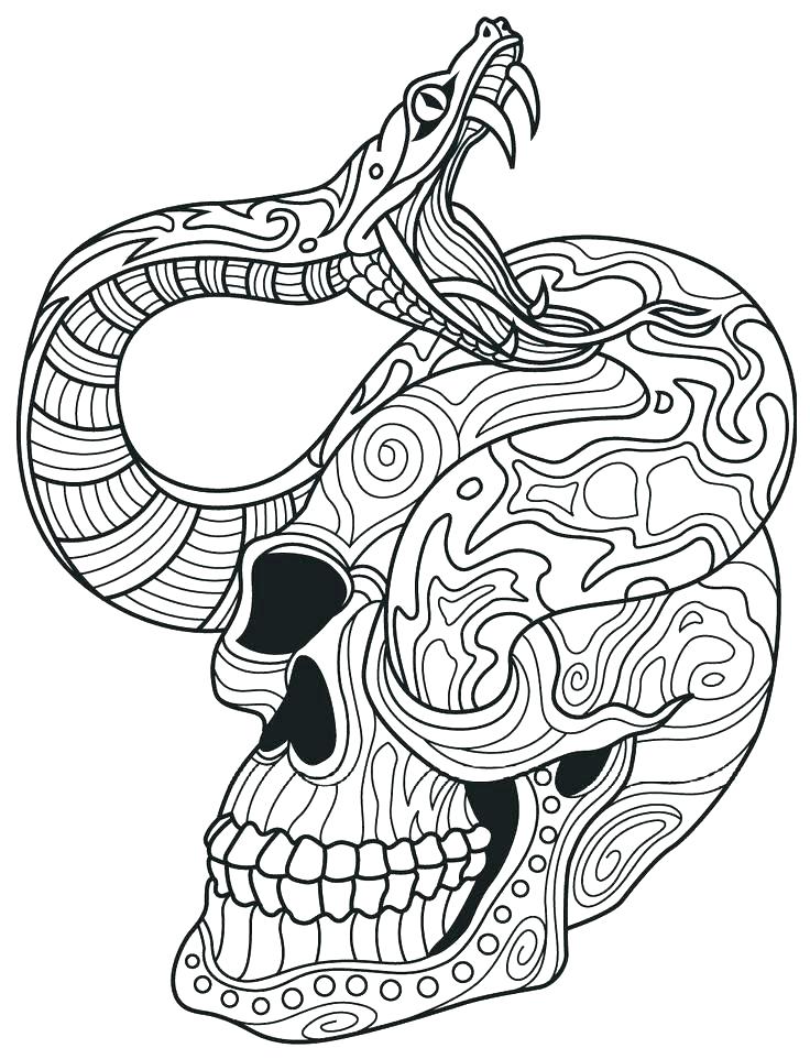 736x962 Coloring Pages App Frank Printable Coloring Pages Kids Coloring
