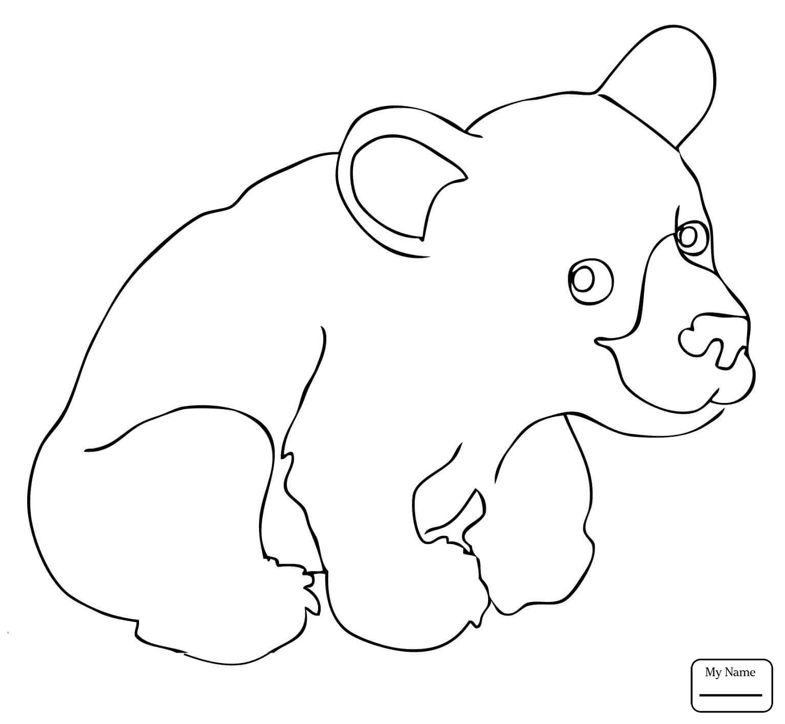 1530x1412 Black Bear Coloring Pages Download