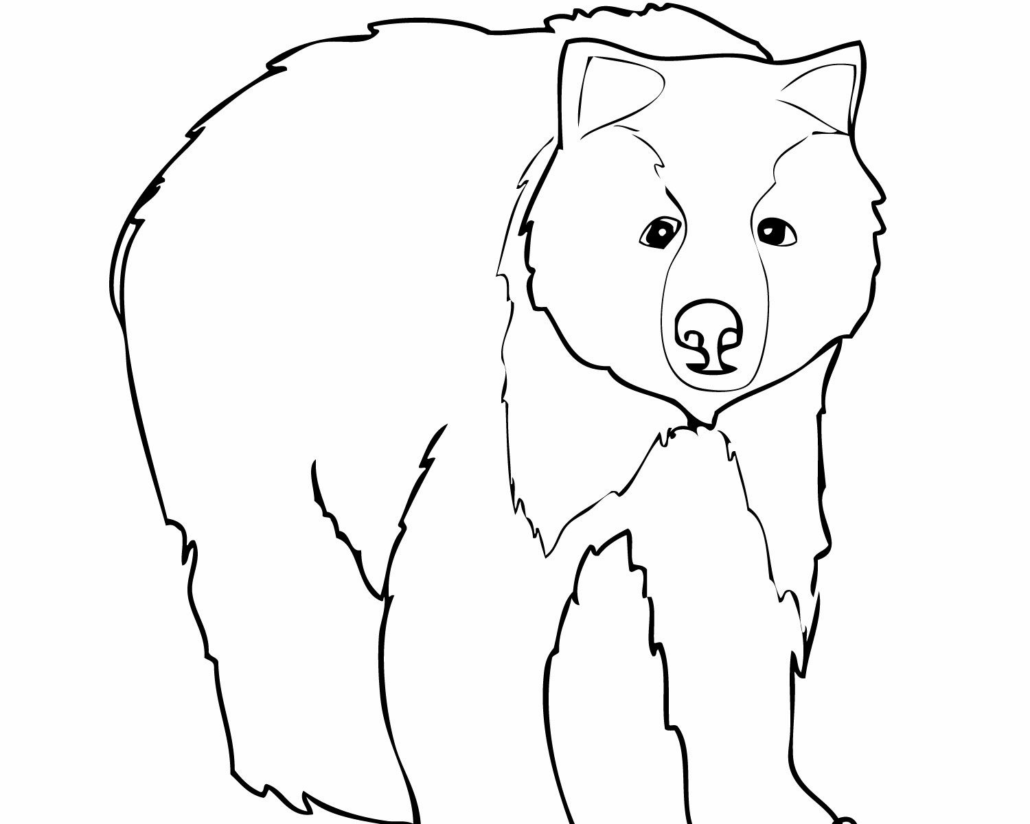 1500x1200 Black Bear Coloring Pages For Adult Free Printable Animals Page