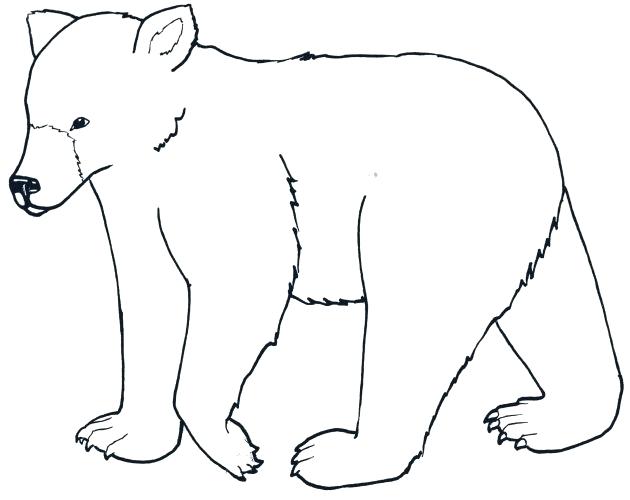 630x500 Coloring Pages Black Bears Page Bear Face Sheets Mycosedesongles