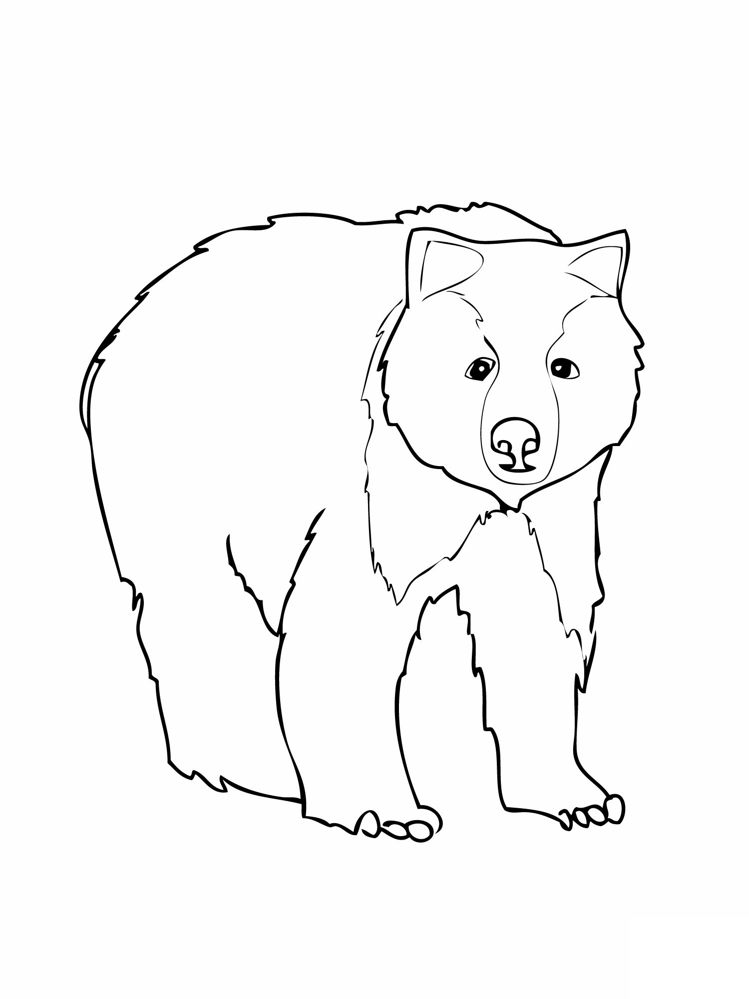 1500x2000 Free Printable Bear Coloring Pages For Kids
