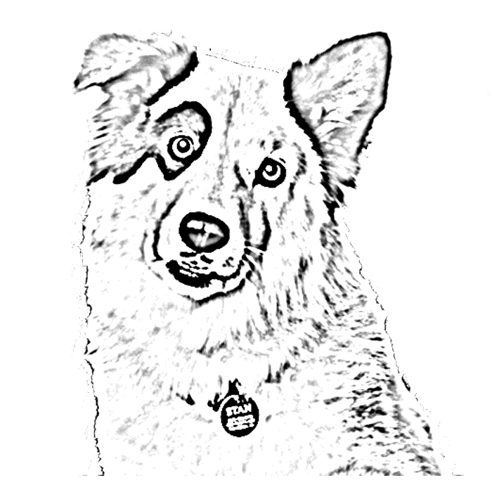 700x700 Dog With A Blog Coloring Pages