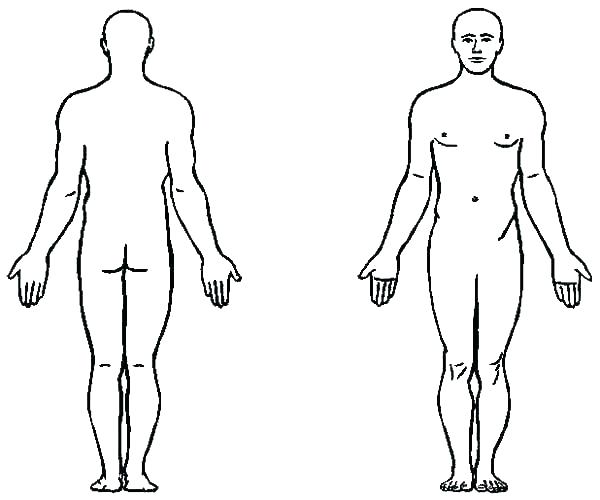 600x500 Human Body Systems Coloring Sheets Human Body Coloring Sheets Cute