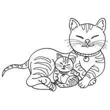220x220 Kitten In Cup Coloring Pages
