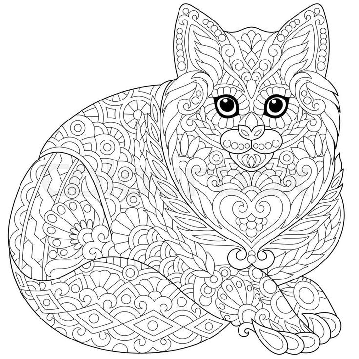 736x736 68 Best Cats To Color Images On Coloring Books