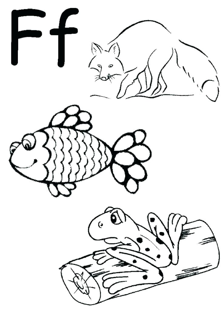 739x1024 Letter D Coloring Sheets