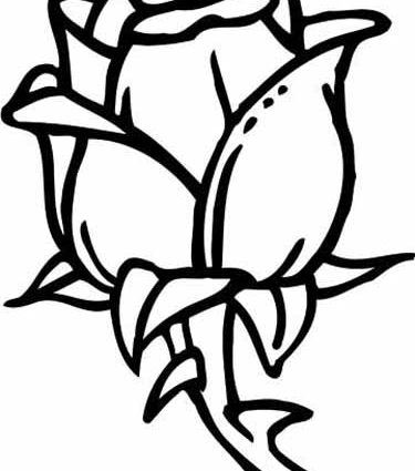 375x425 Coloring Pages For 11 Year Olds Colouring Pages 11 Year Olds Rose