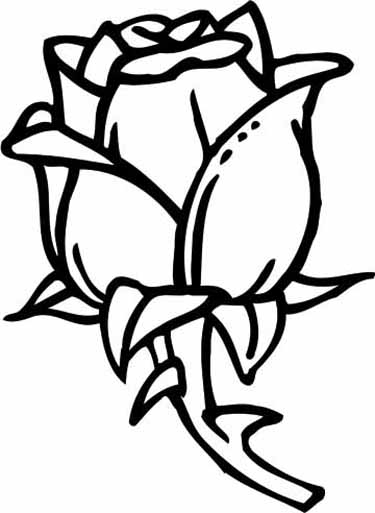 375x513 Coloring Pages For 11 Year Old 2067684