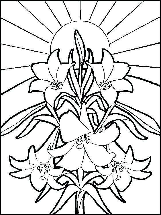 562x750 Coloring For 12 Year Olds Coloring Pages For 12 Year Olds As Well