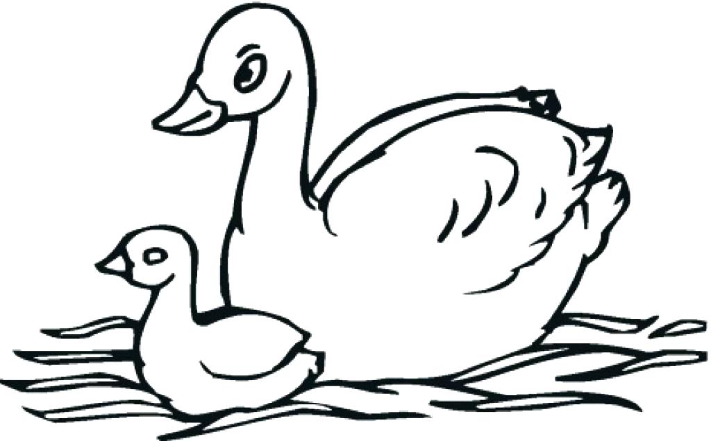1024x636 Coloring Pages For 2 Year Olds Coloring Pages For 4 Year Coloring