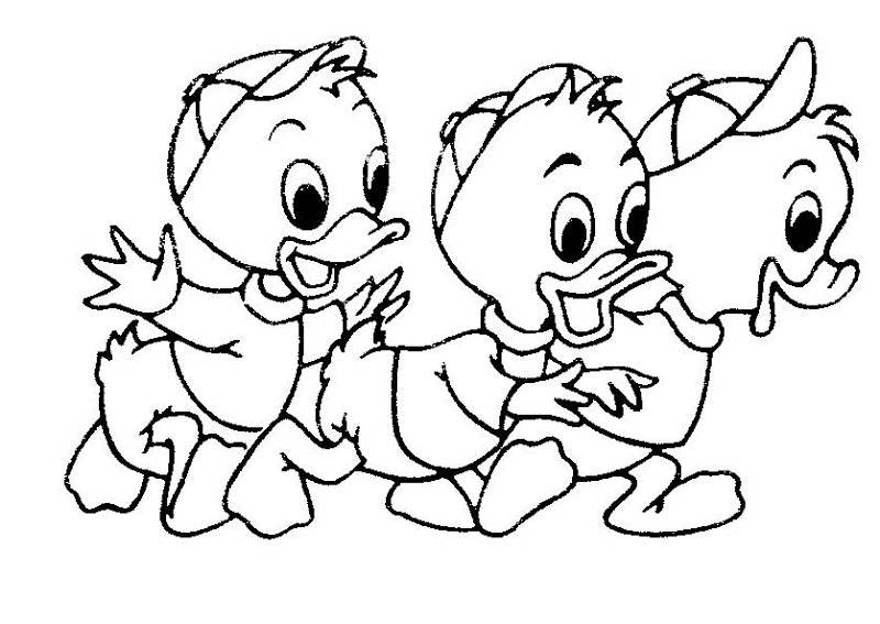 800x567 Coloring Pages For 4 Year Olds Hostingview Info Inside 5 Idea 9