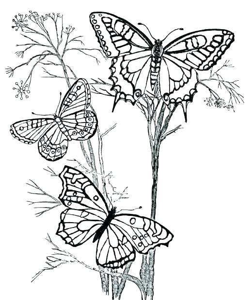 520x617 Coloring Pages For 8 Year Olds Coloring Pages For 9 Year Coloring