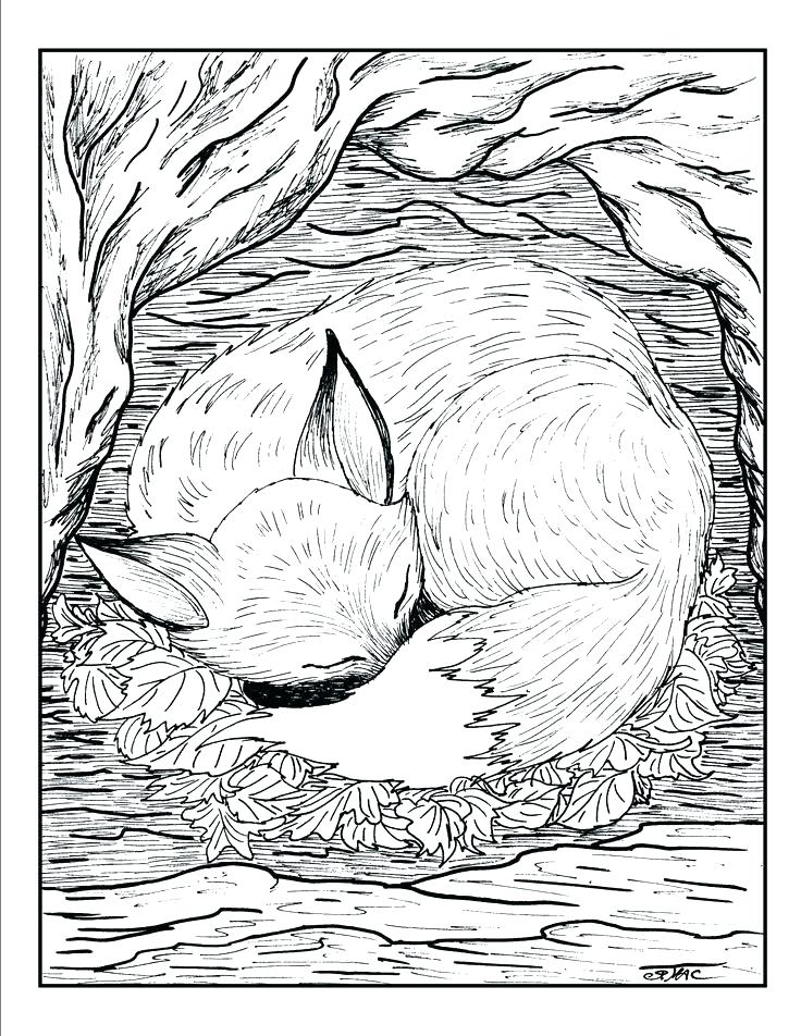736x952 Animal Coloring Pages For Adults Animal Mandala Coloring Pages