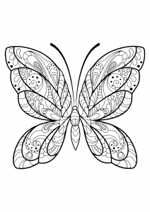 212x300 Butterflies Amp Insects