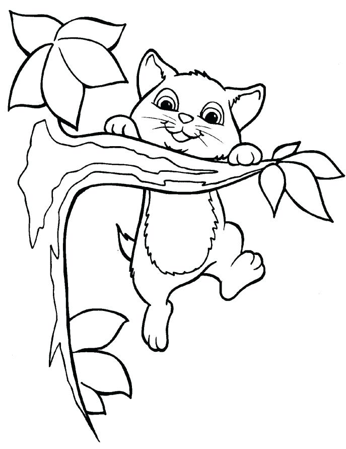 687x891 Black Cat Coloring Page Cat Coloring Pages To Print Warrior Cat
