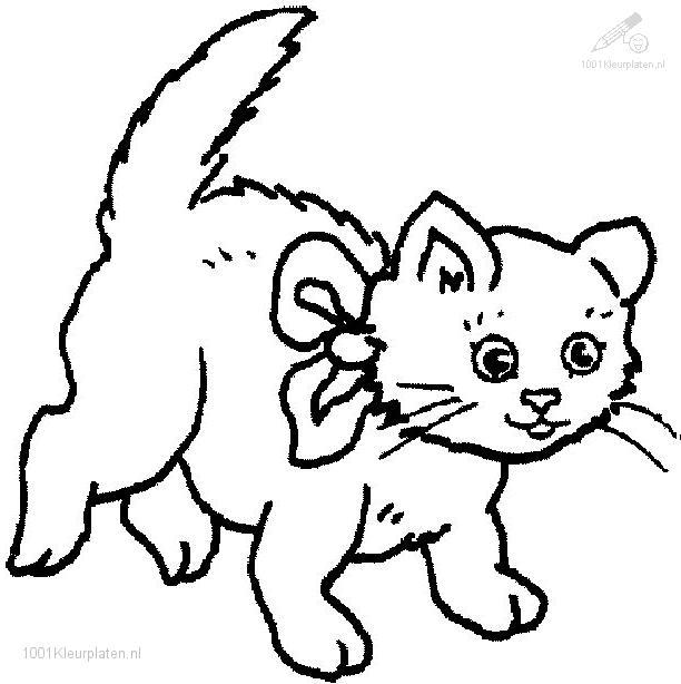 612x614 Cat Coloring Page