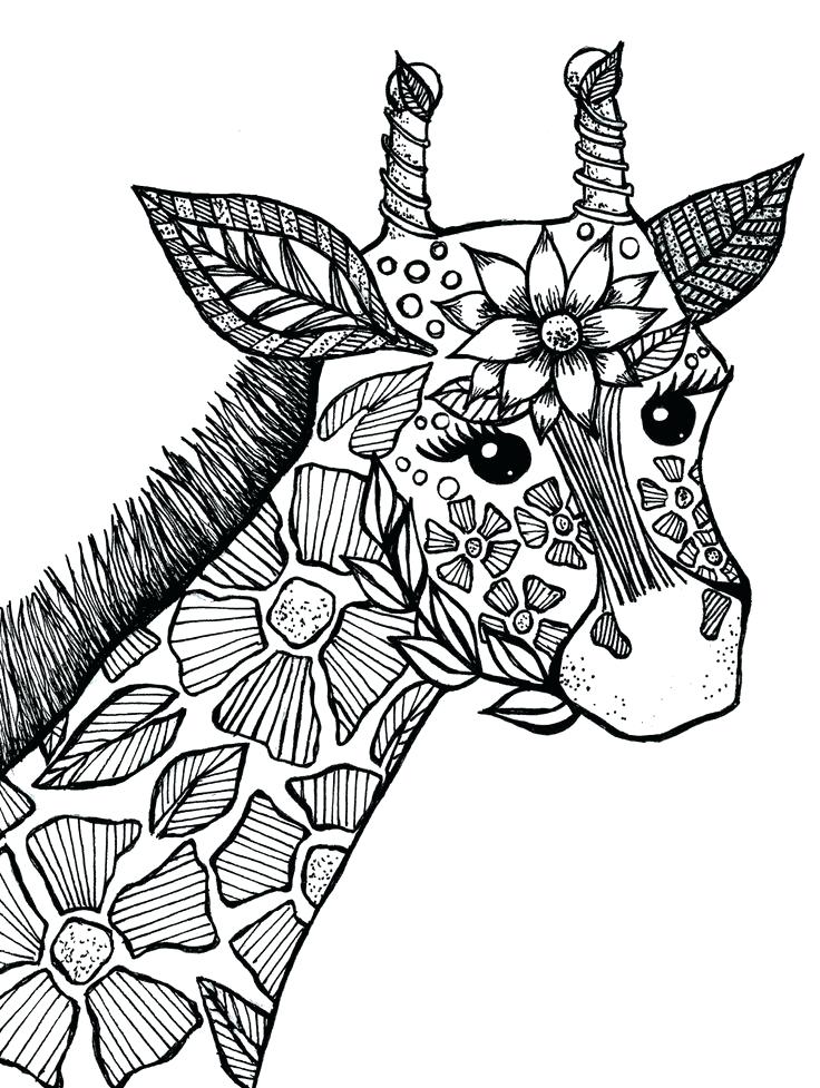 736x977 Animal Coloring Pages For Adults Lion Coloring Pages Printable