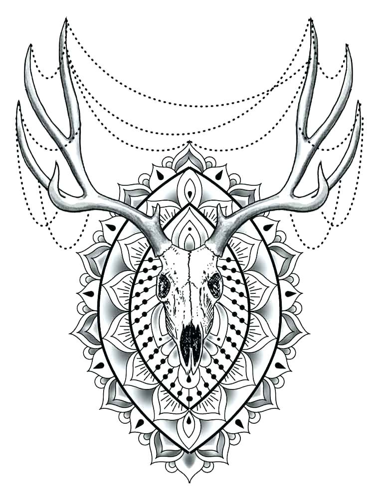 750x1000 Animal Mandala Coloring Pages Adults Difficult Animals Cute Monkey