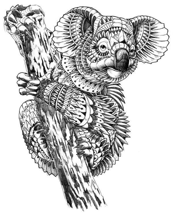 600x749 Inspiration Koalas, Coloring Pages And Coloring