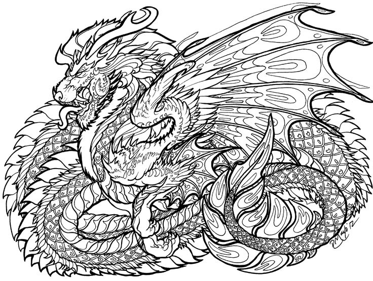 736x555 Fashionable Inspiration Dragon Coloring Pages For Adults Print