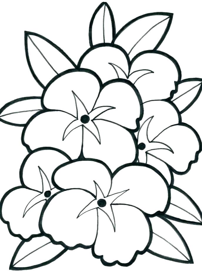 687x920 Easy Flower Coloring Pages Easy Flower Coloring Pages Easy