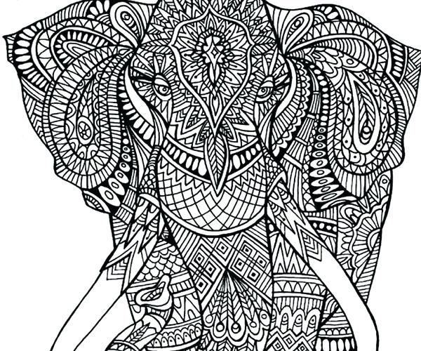 600x500 Adult Coloring Elephant 1898315