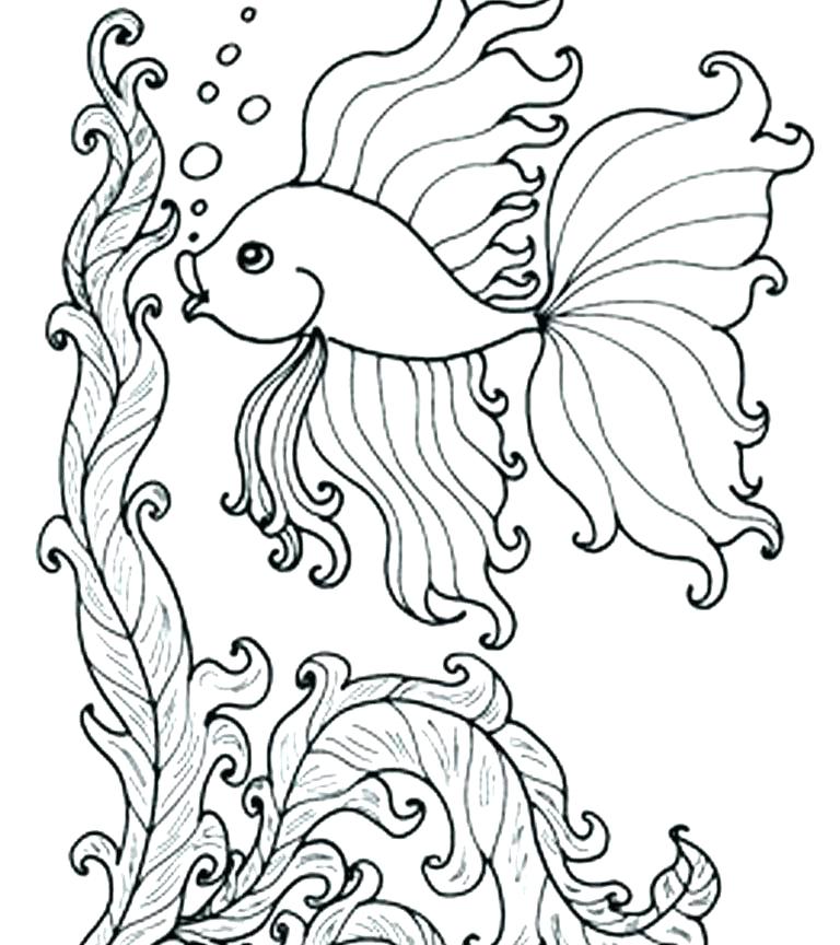 768x864 Fish Coloring Pages For Adults 2