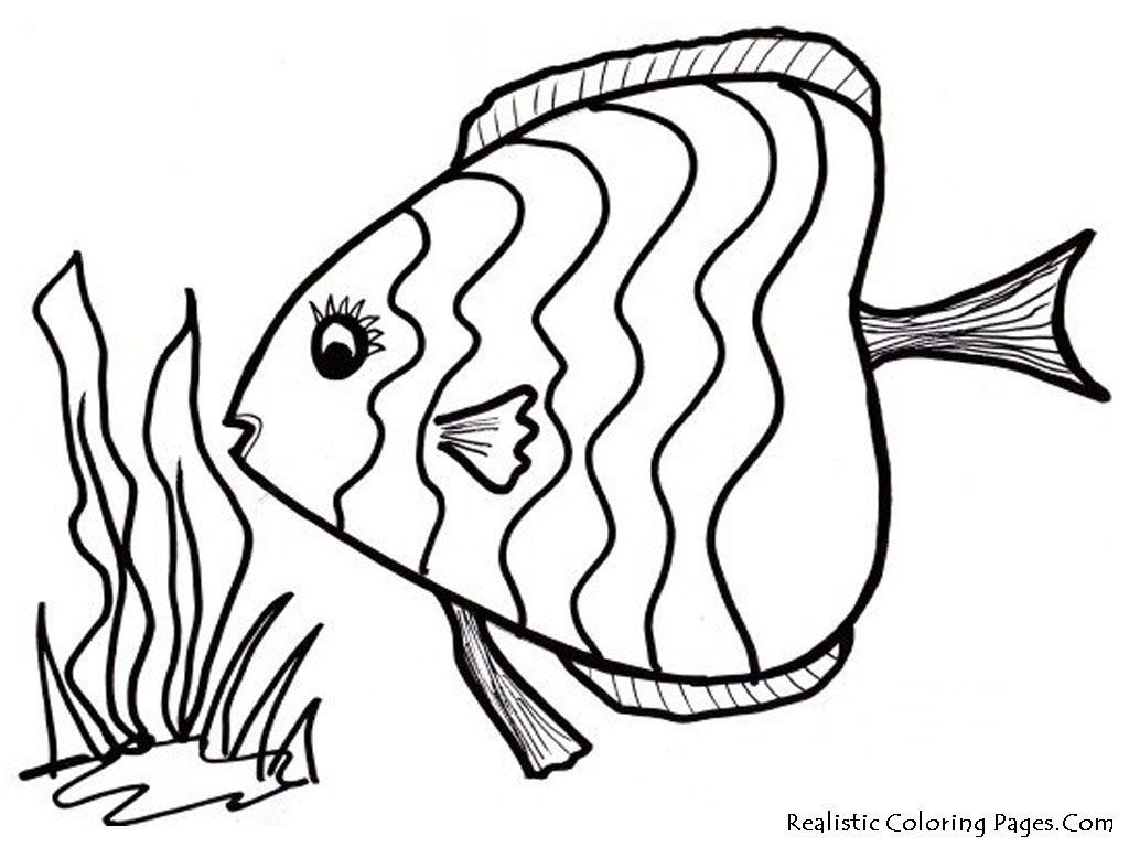 1024x768 Stunning Adult Fish Coloring Pages Use A Variety Of Low Image