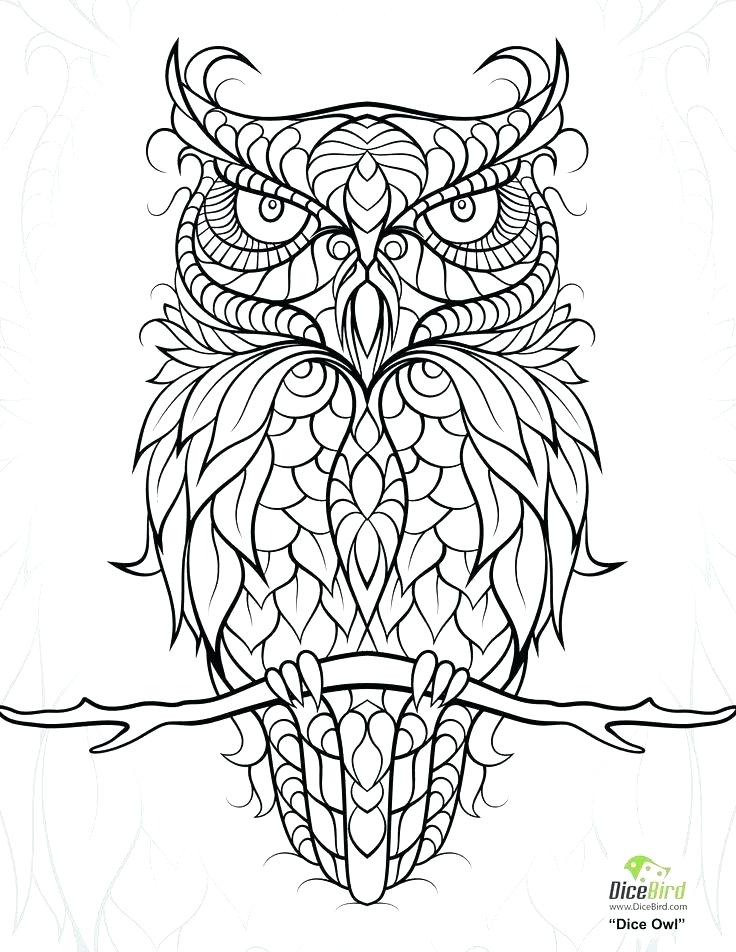 736x952 Anatomy Coloring Pages For Adults Free Anatomy Coloring Pages Free