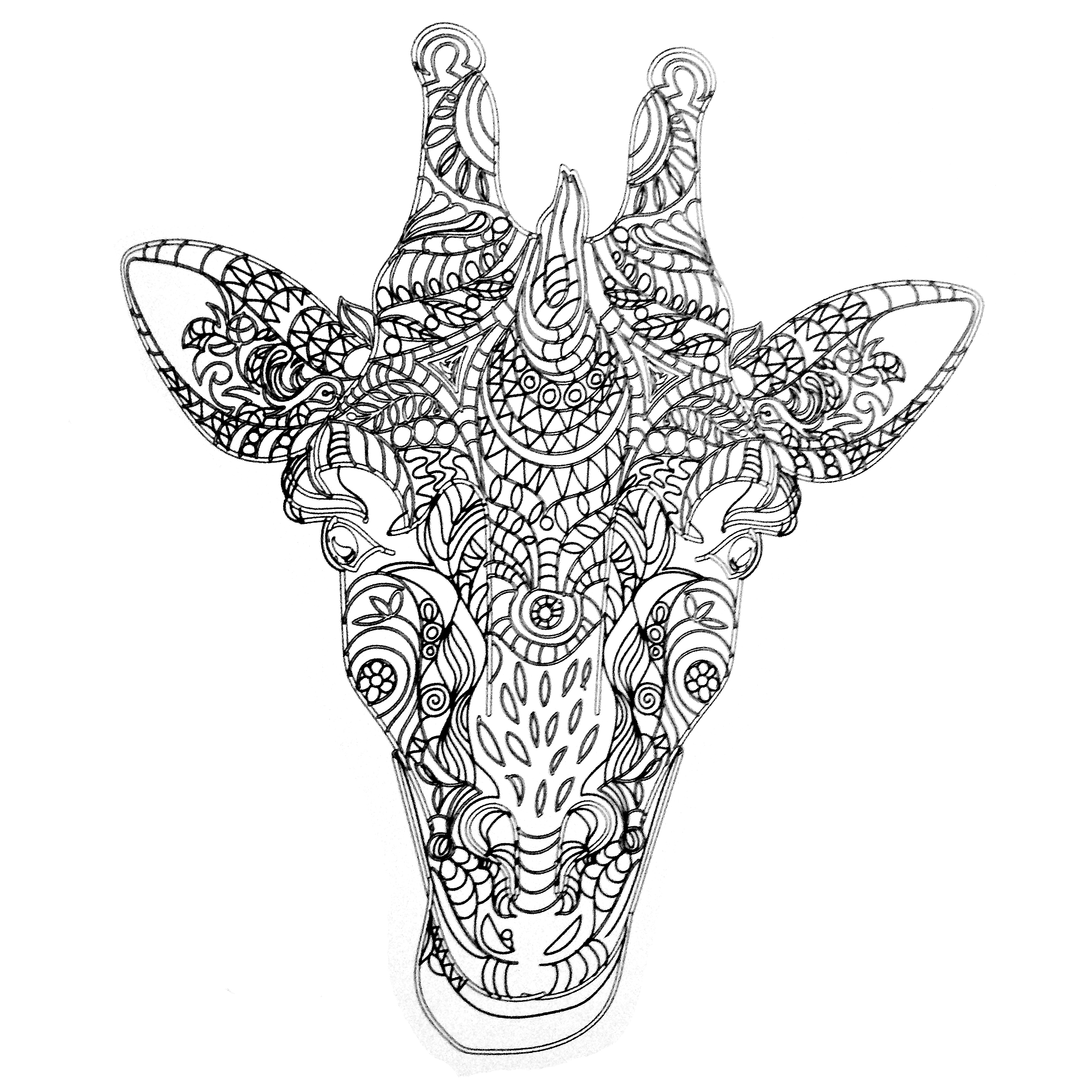 2712x2712 Colors Of Nature Adult Colouring Book