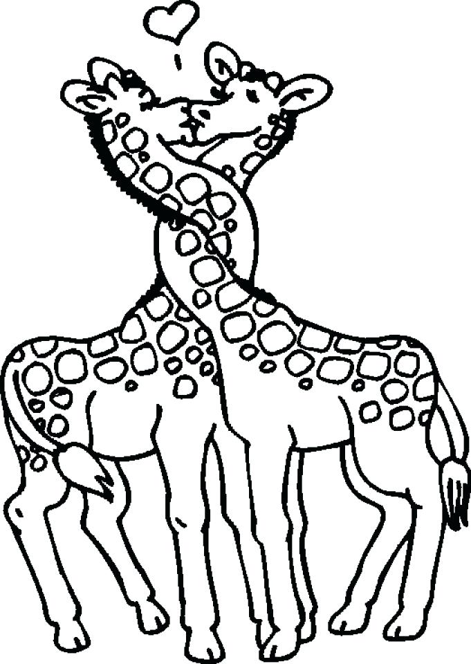 681x960 Get This Giraffe Coloring Pages Printable Giraffe Coloring Pages