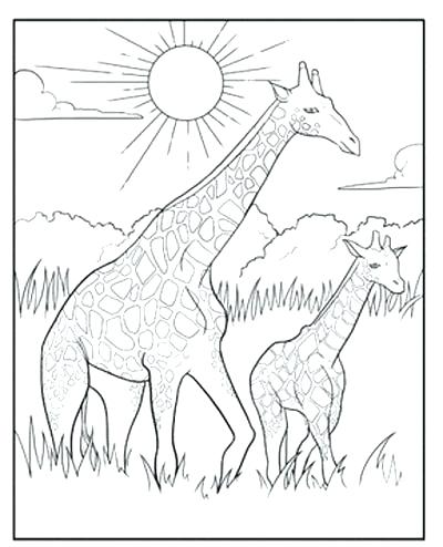 400x494 Giraffe Coloring Pages For Adults Printable Giraffe Coloring Free
