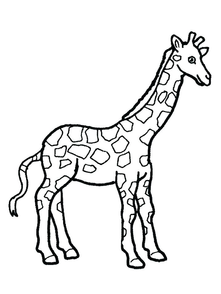 718x957 Coloring Page Giraffe Baby Giraffe Coloring Pages Adult Giraffes