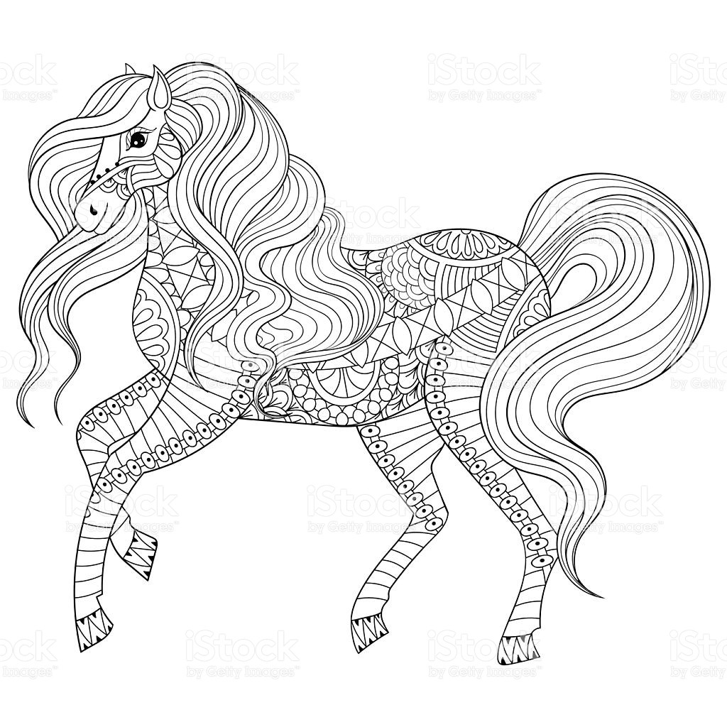 1024x1024 Hand Drawn Horse For Adult Coloring Page Art Therapy Stock Vector