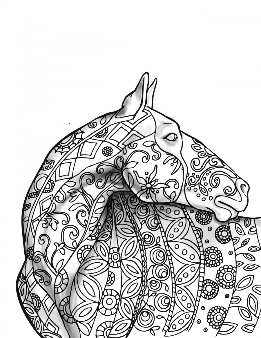 900x1165 Horse Coloring Pages For Adults