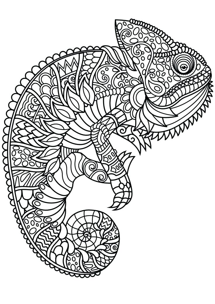 736x1040 Animal Mandala Coloring Pages Coloring Pages Animals For Adults