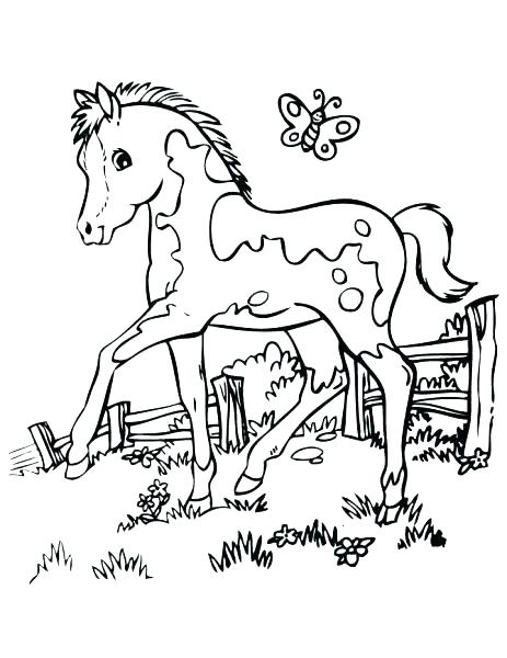 463x600 Free Horse Coloring Pages Horse Color Pages Horses Coloring Book