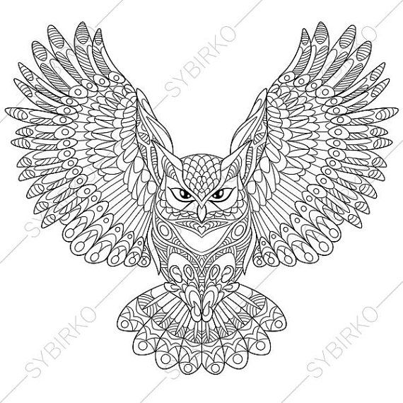 Coloring Pages For Adults Owls