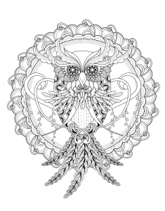 235x300 Owls
