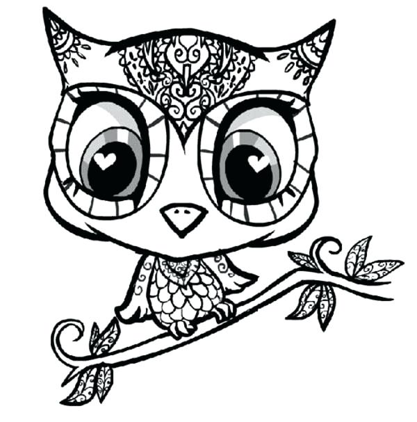 600x607 Owls A Gallery On Cartoon Owl Coloring Pages Owl Coloring Pages