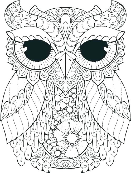 497x659 Coloring Pages Owls