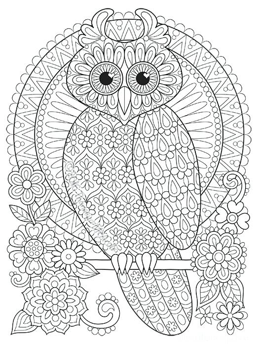 521x700 Coloring Book Owl Perched Owl Coloring Page By Coloring Book