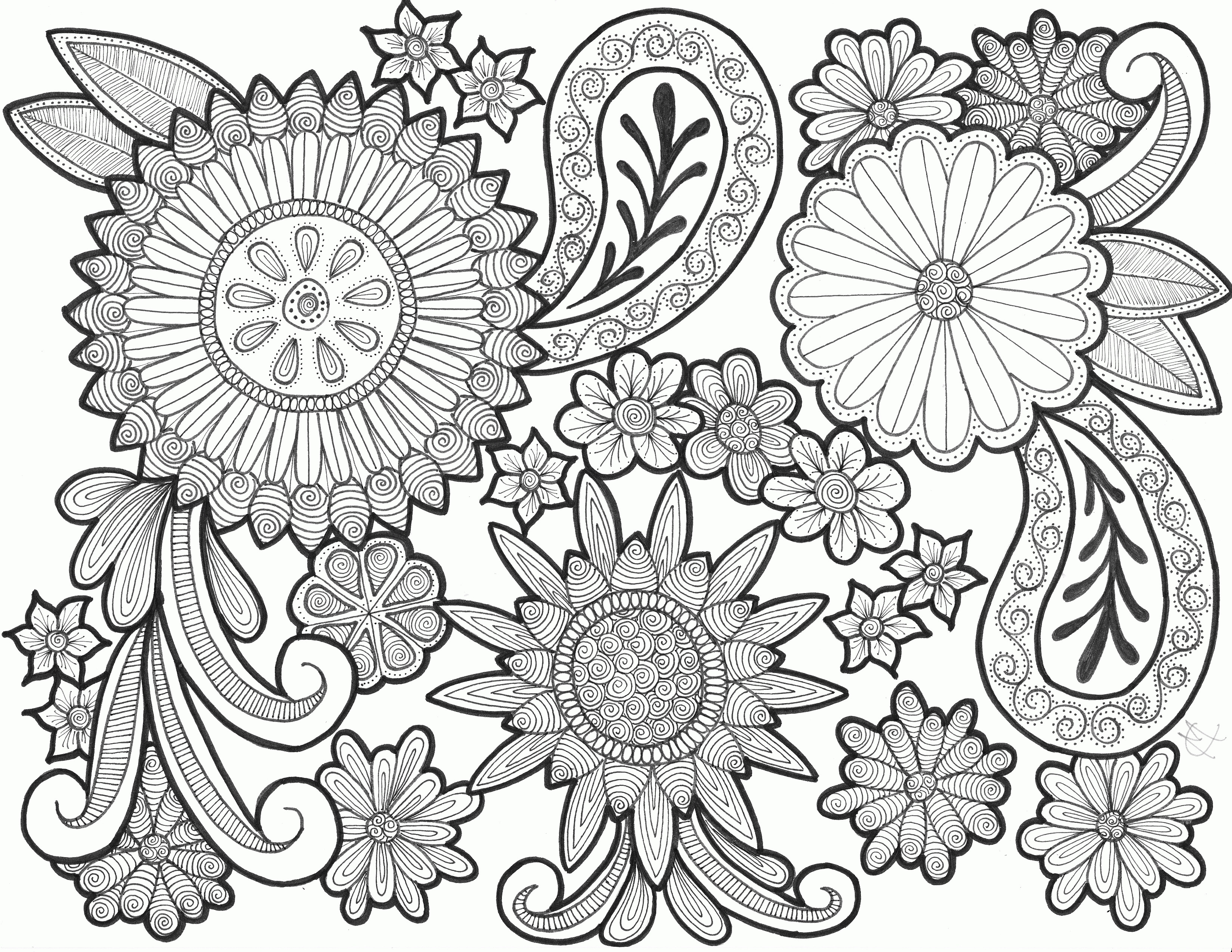 3299x2549 A1c7n92tdbl Endearing Enchanting Free Adult Paisley Coloring Pages