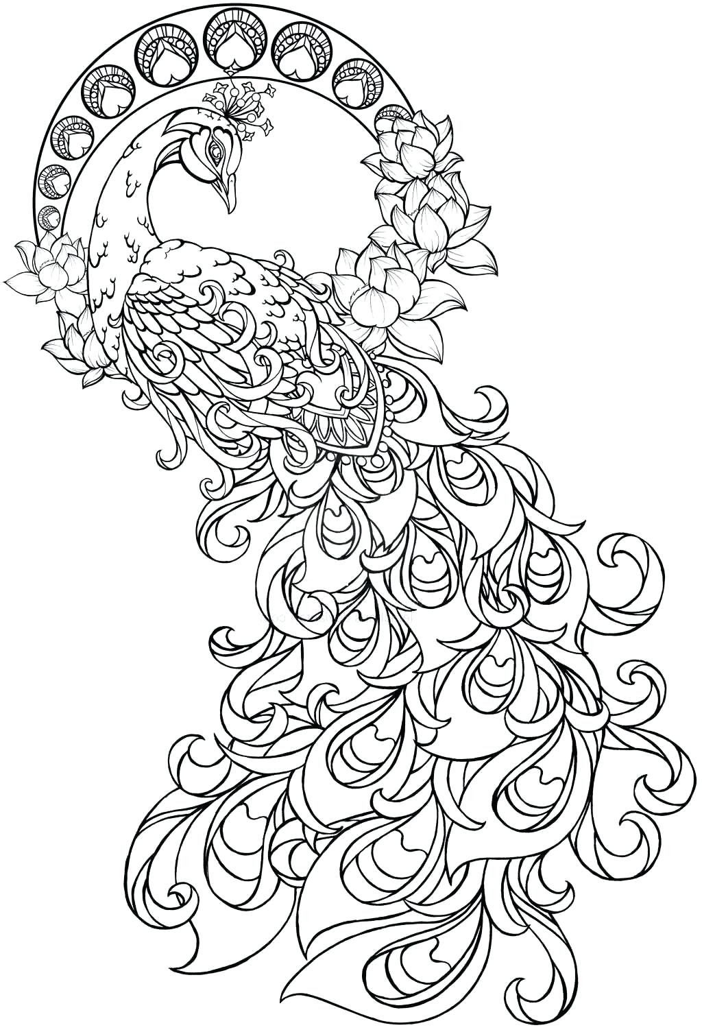1024x1505 Printable Intricate Design Coloring Pages